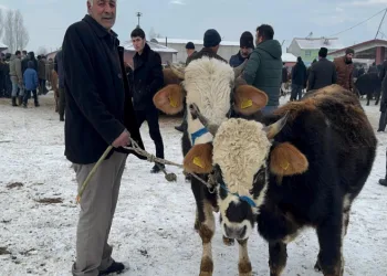 Hayvan pazarı’nda dondurucu soğuk çileye döndü