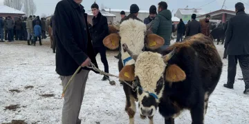 Hayvan pazarı’nda dondurucu soğuk çileye döndü