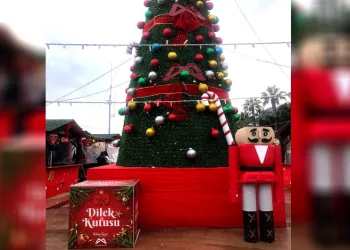 Dilek Kutusu’ndan ‘para, huzur ve mutluluk’ çıktı