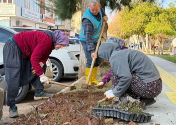 Silifke’de park ve yeşil alanlar bakıma alındı