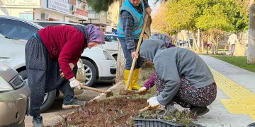 Silifke’de park ve yeşil alanlar bakıma alındı