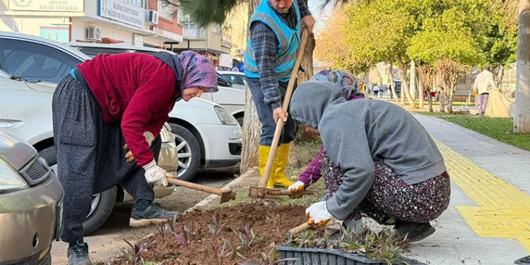 Silifke’de park ve yeşil alanlar bakıma alındı