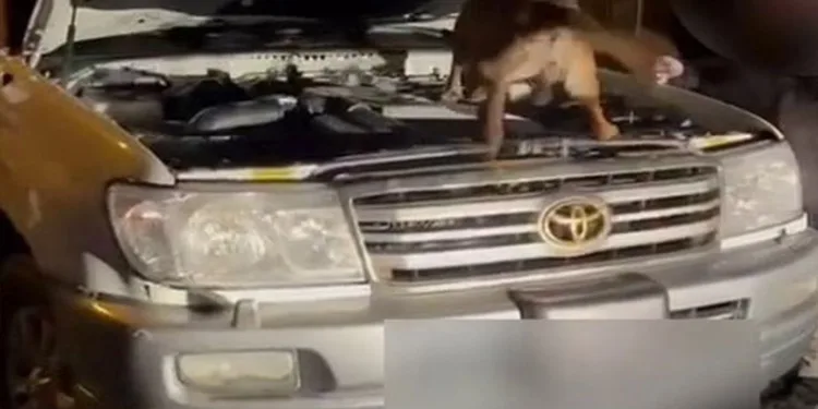 Yakıt deposundan litrelerce uyuşturucu çıktı