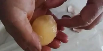 Elazığ’da yumurtalar soğuktan dondu