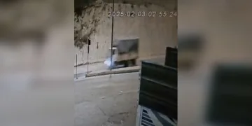 Elazığ’da son bir haftada meydana gelen 217 olayda 229 şahıs yakalandı