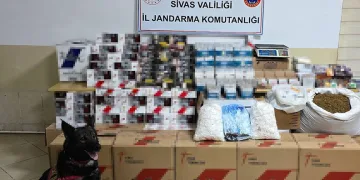 Jandarma’dan kanunsuzluğa operasyon