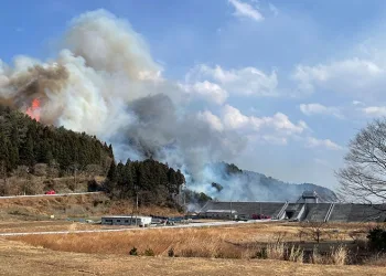 Japonya’da orman yangını
