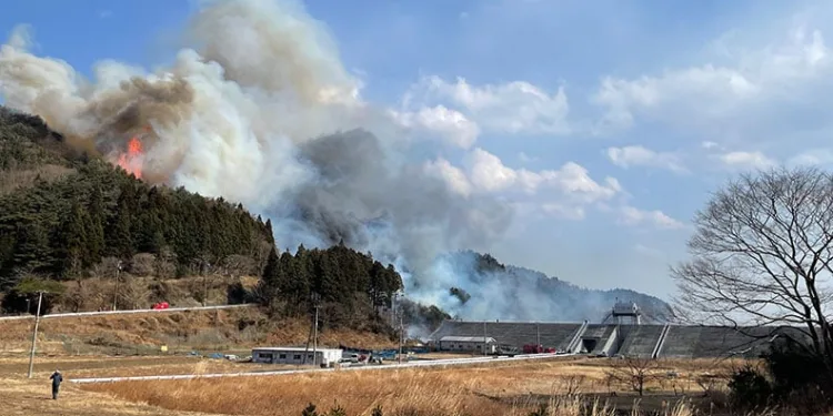 Japonya’da orman yangını