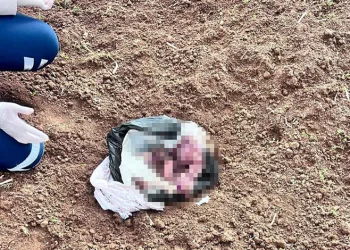 Şırnak’ta bebek cinayetine 2 tutuklama