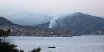 Japonya’daki orman yangınında 1 kişi hayatını kaybetti