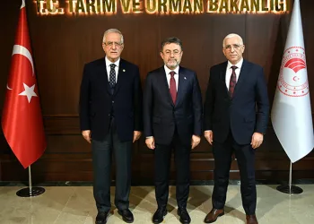 “Dane zeytine prim desteği kaldırılmamalı”