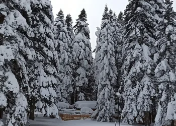 Bursa Uludağ’da kar kalınlığı 1 metreye yaklaştı