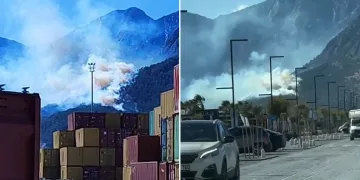 Antalya’da orman yangını