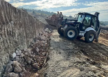 Orhangazi Belediyesi’nden sokak hayvanlarına yuva