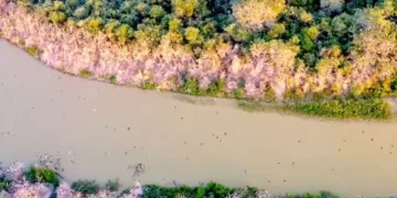 131 sulak alan koruma altında