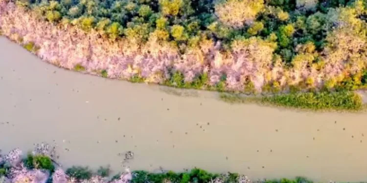131 sulak alan koruma altında