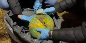 Tavuk kümesinde 13 paket uyuşturucu ele geçirildi