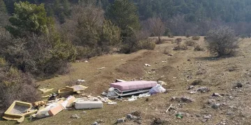 Mobilya eşyalarını doğaya attılar