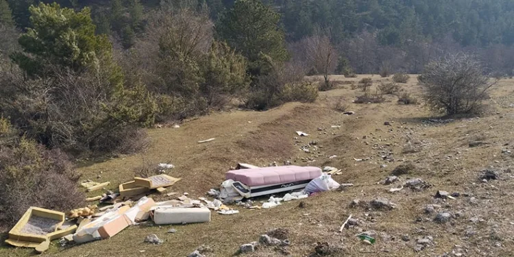Mobilya eşyalarını doğaya attılar