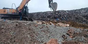 Pestisit kimyasal maddesi tespit edilen 55 ton limon imha edildi