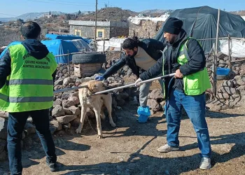 Siverek’te kuduz alarmı: Köy karantinaya alındı