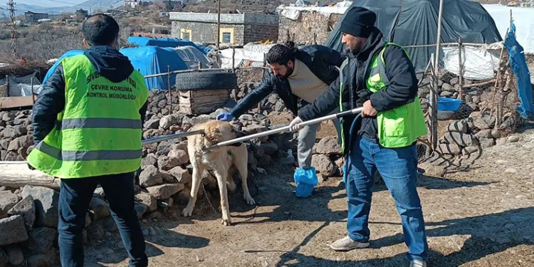 Siverek’te kuduz alarmı: Köy karantinaya alındı