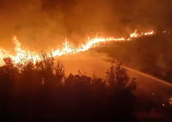 Burdur’da sazlık alanda yangın