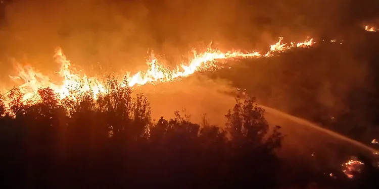 Burdur’da sazlık alanda yangın