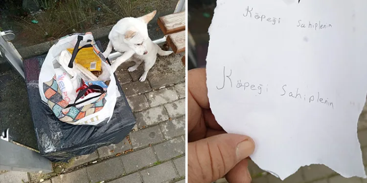 Yavru köpek “Sahiplenin” notuyla durağa bırakıldı