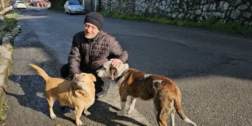 Köpeğin vefası herkesi duygulandırdı