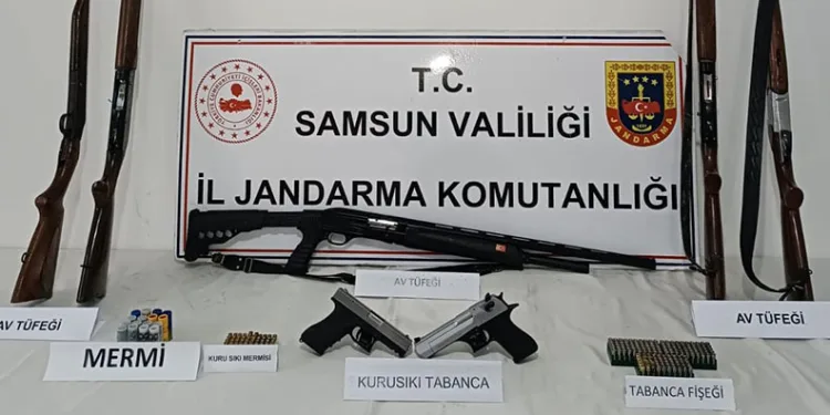 Jandarma ruhsatsız silah ve mühimmat ele geçirdi