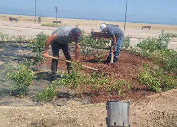 Karacabey Belediyesi’nden doğaya saygılı estetik çalışmalar