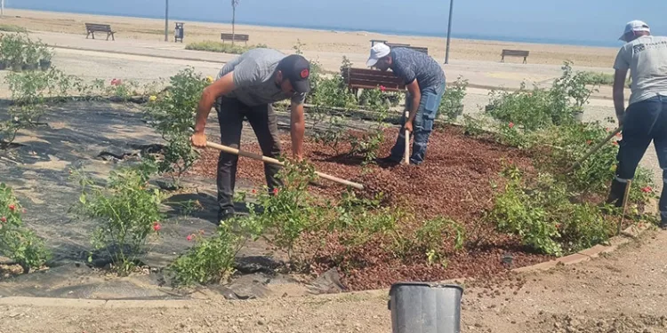 Karacabey Belediyesi’nden doğaya saygılı estetik çalışmalar