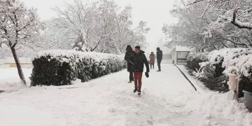 TSK’dan “Çok Sığ Suda Mayın Karşı Tedbirleri” eğitimi