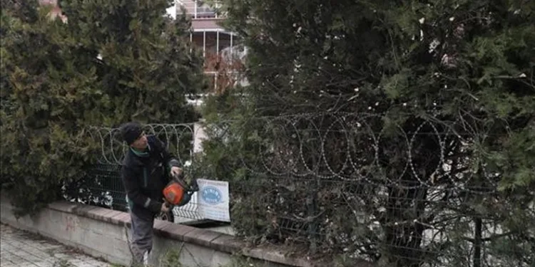 Şehir Genelinde Ağaç Budama Çalışmaları Sürüyor