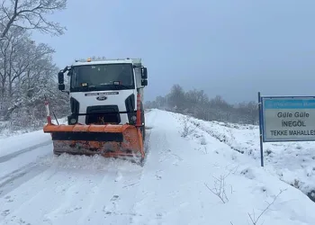 İnegöl Hayvan Pazarı Bu Hafta Kurulacak