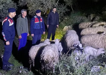 Polisten kemen ve lastik denetimi