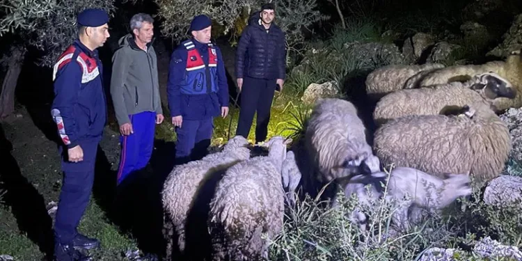 Polisten kemen ve lastik denetimi