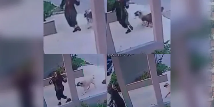 Hastane randevusuna giderken karlı yolda şarampole devrildiler: 3 yaralı