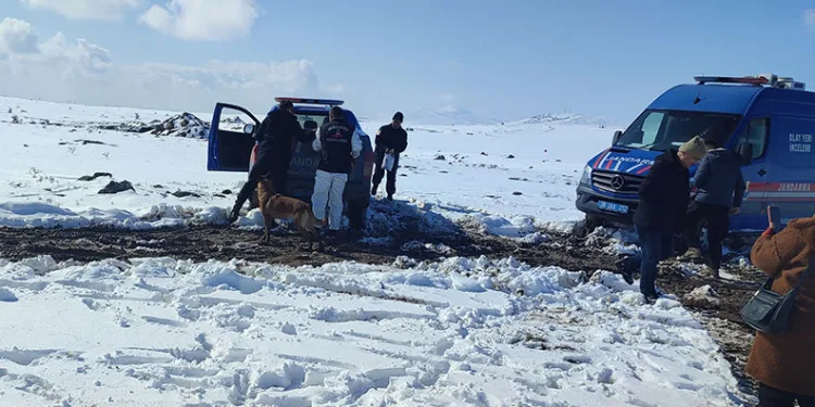 Manisa’da jandarmadan 7 mahallede dev operasyon