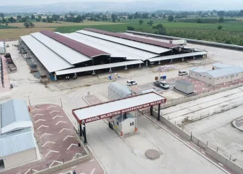 İnegöl Hayvan Pazarı Bu Hafta Kurulacak