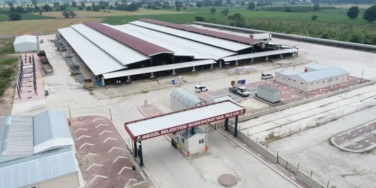 İnegöl Hayvan Pazarı Bu Hafta Kurulacak