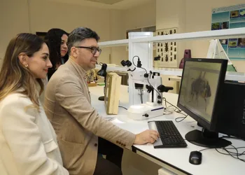 BTÜ Uludağ ormanlarındaki arıların tür çeşitliliğini belirleyecek