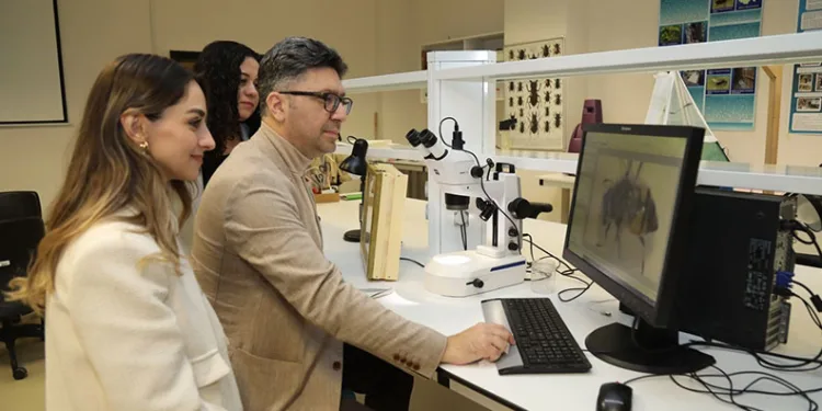 BTÜ Uludağ ormanlarındaki arıların tür çeşitliliğini belirleyecek