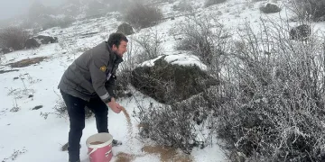 Serbest piyasada döviz fiyatları