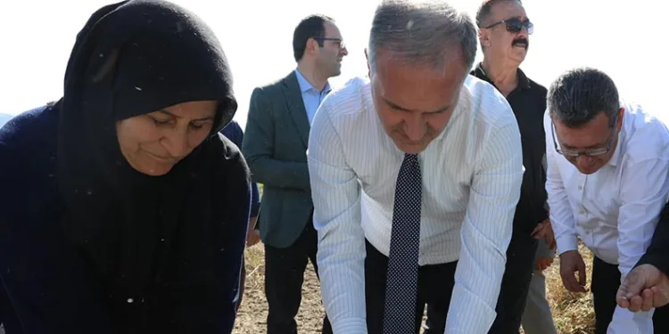 İnegöl Belediyesi’nden cerrah kuru fasulyesine dev katkı