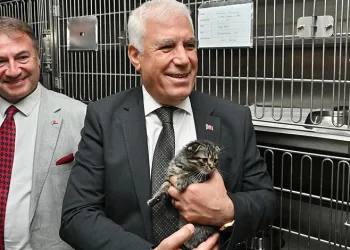 Büyükşehir’den can dostları için önemli proje