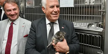 Büyükşehir’den can dostları için önemli proje