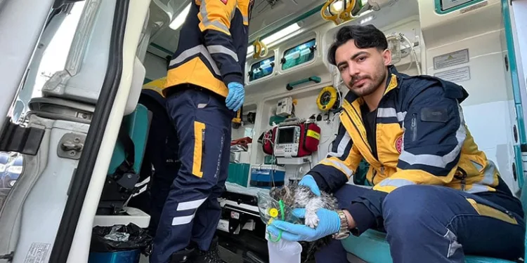Bursa’da alevlerin arasında kalan yavru kediyi itfaiye kurtardı