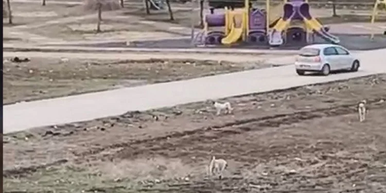 Bayrampaşa’da tek katlı otoparkta yangın